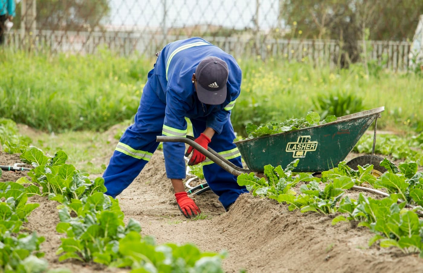 Yard & grounds care
